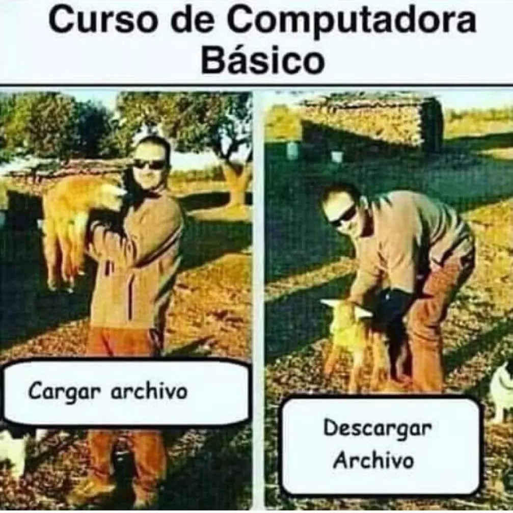 1743083943816.webp