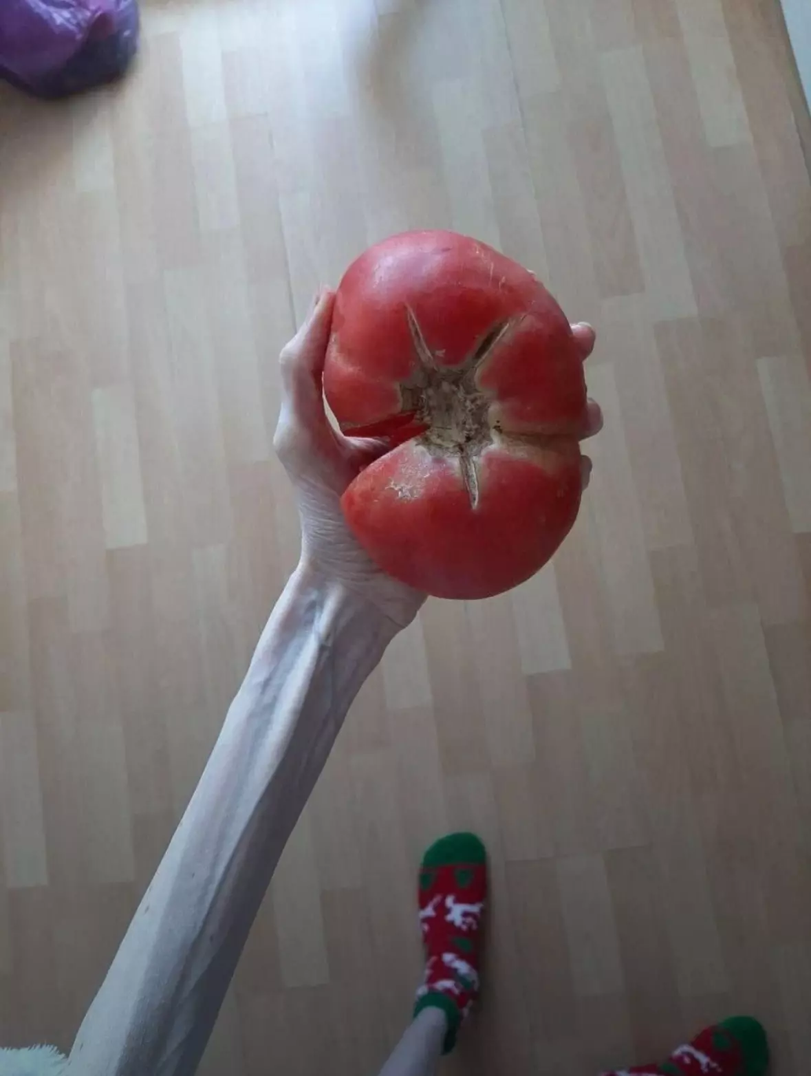 1744793679219.webp