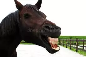 1744829356422.webp