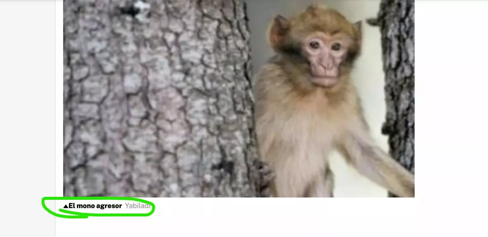 1745154336102.png
