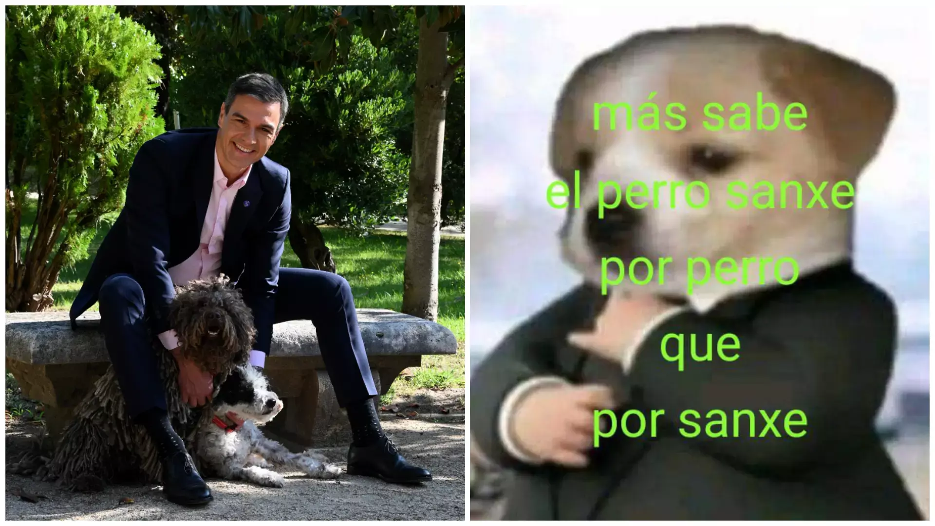 1750087105007.webp