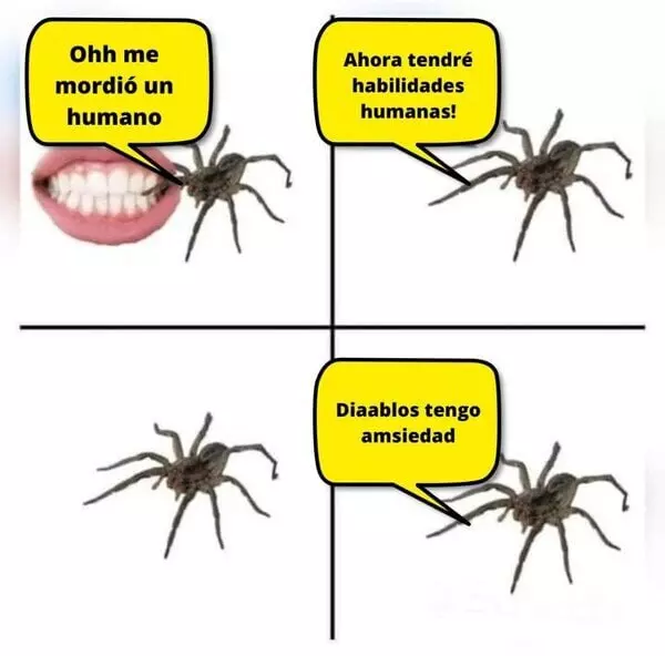 1752430239611.webp