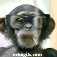 1752787899939.gif