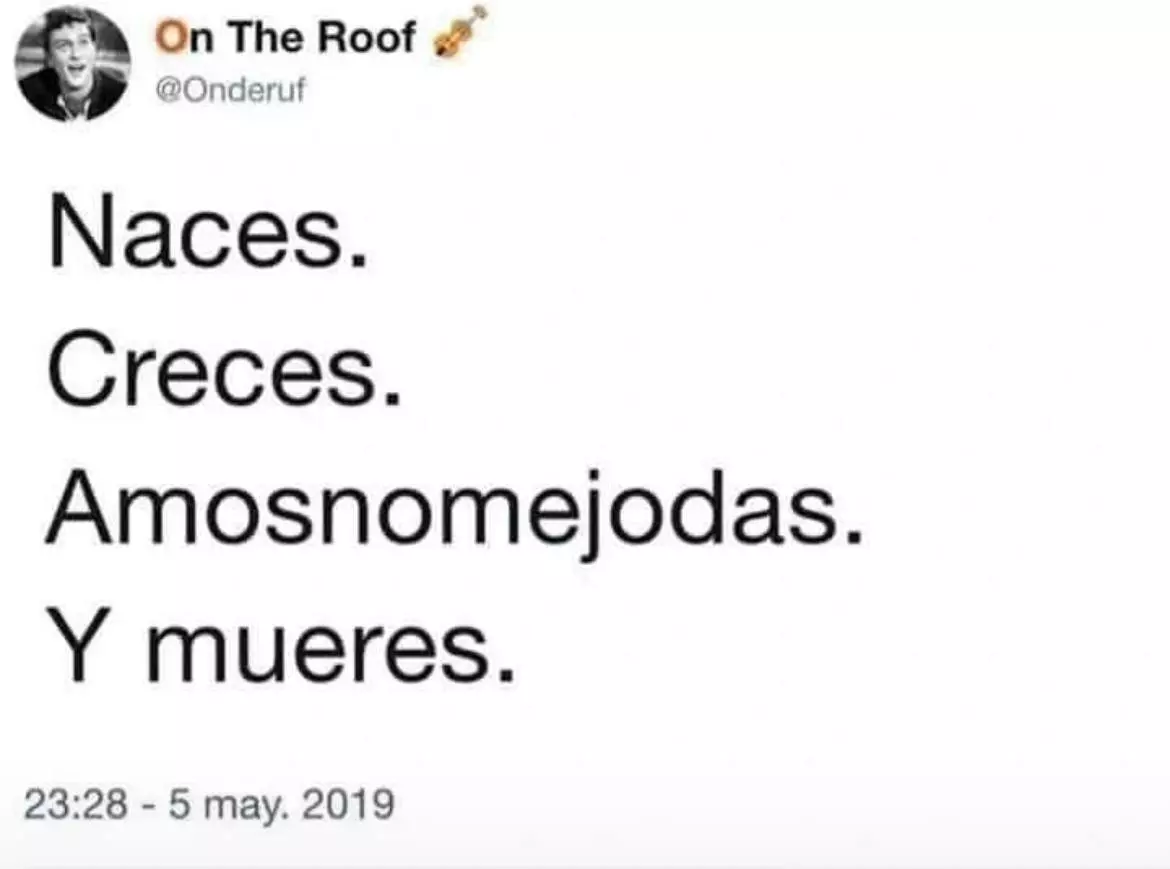 1753632934175.webp