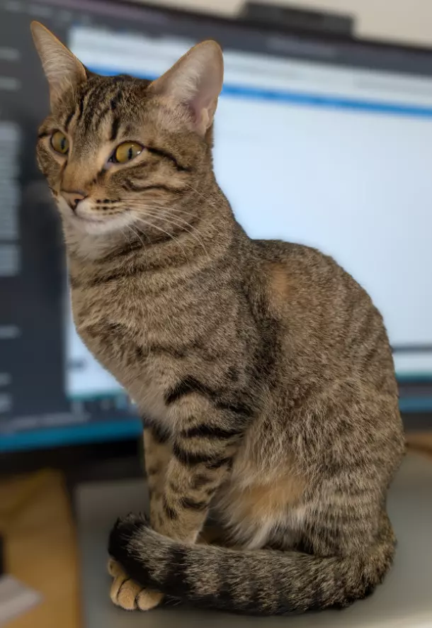 1754987510443.png