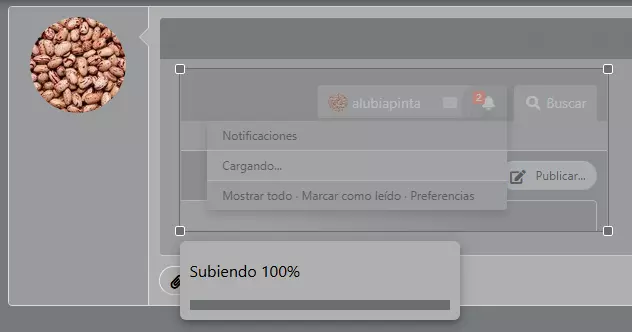 1755264580491.webp