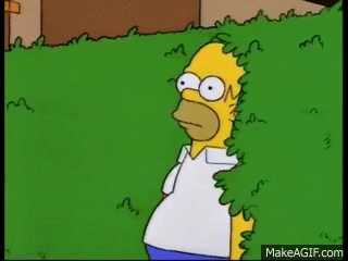 1755270794480.gif