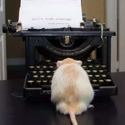 1755718823392.webp