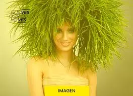 1755726528984.webp