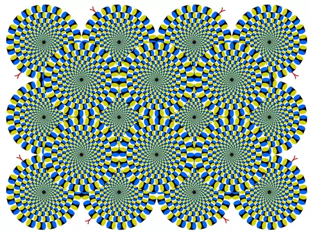 1756844332475.webp