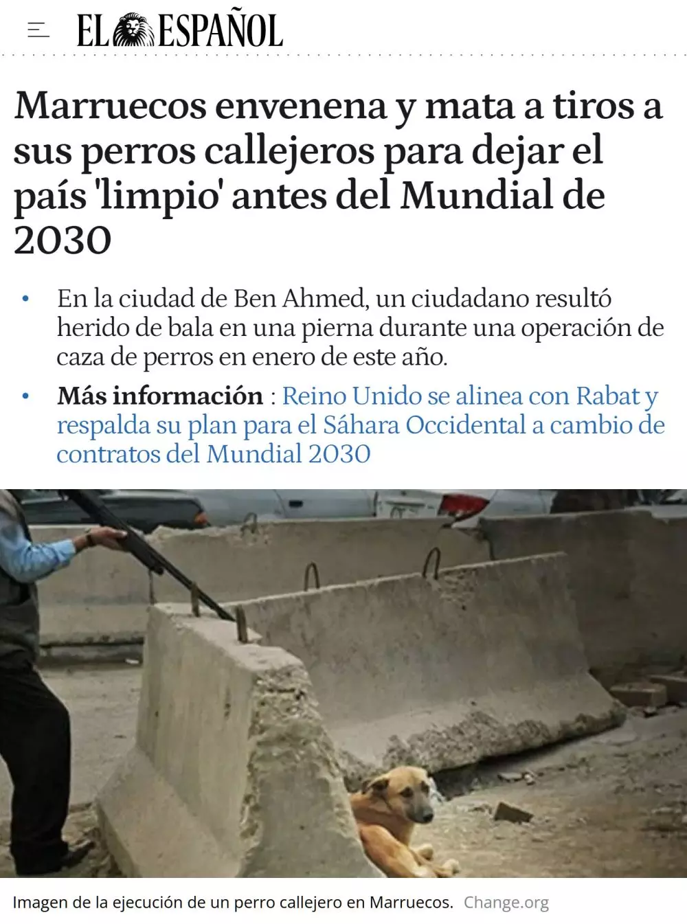 1757275467621.webp