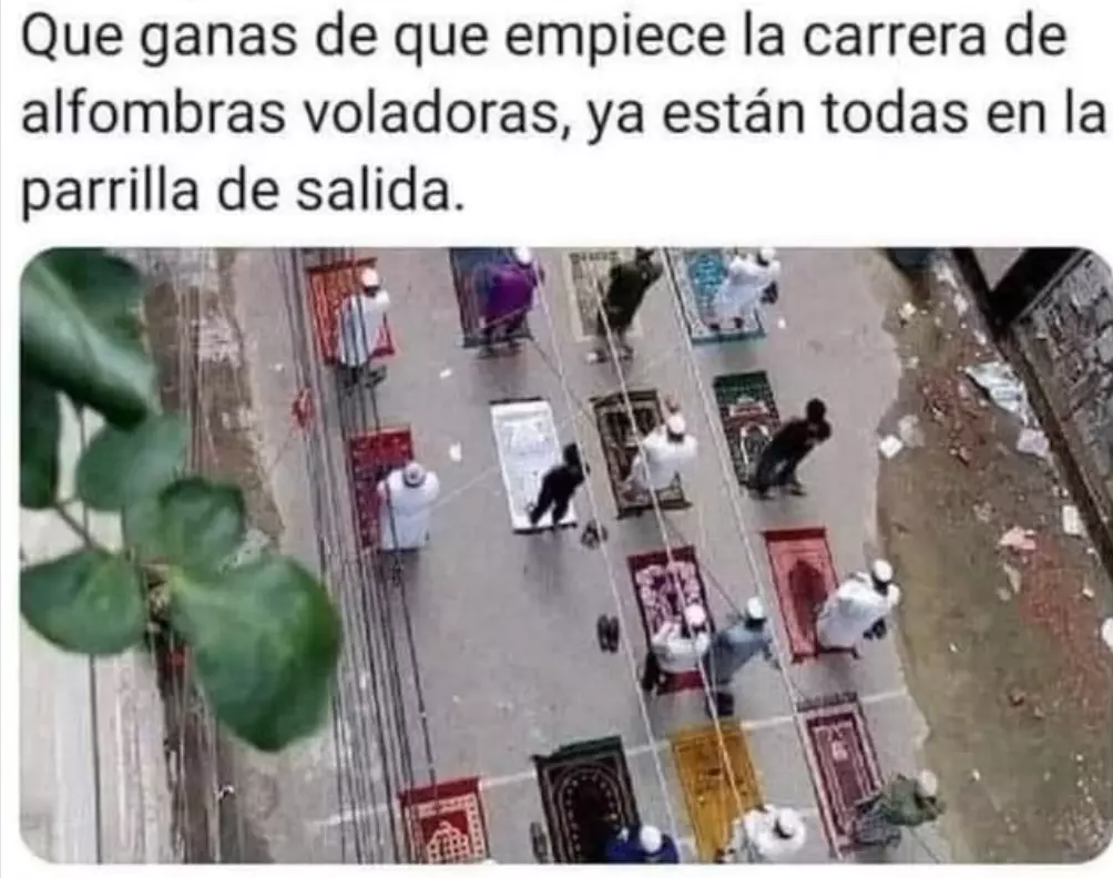 1762083121419.webp