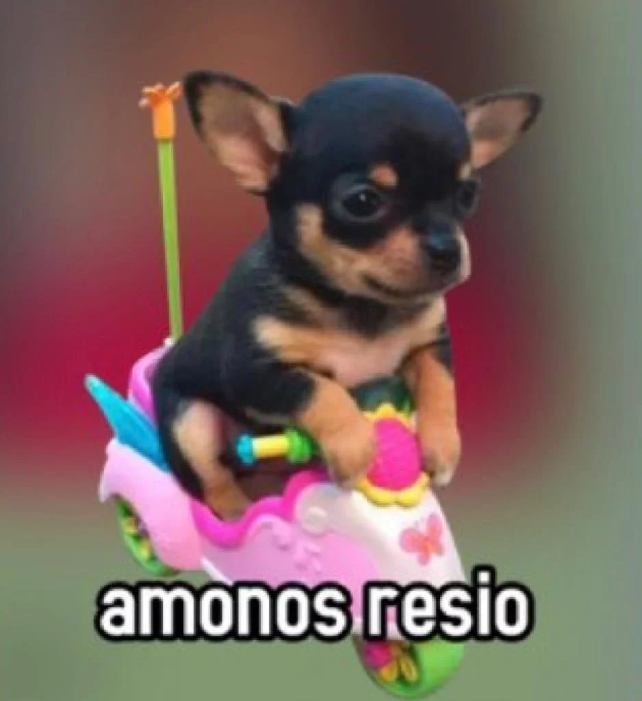 1762701756544.webp