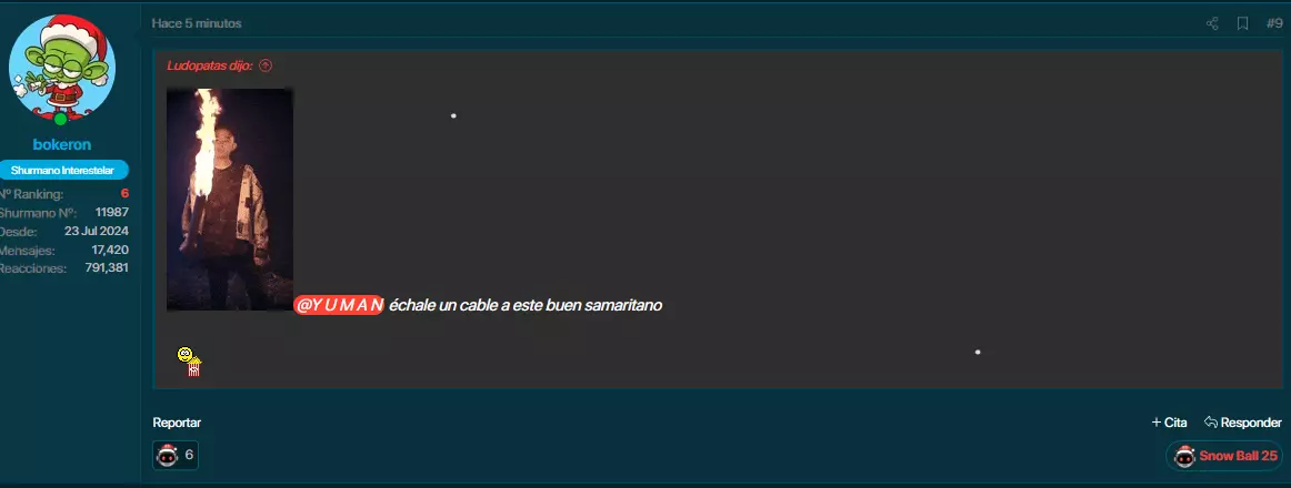1765188104535.webp