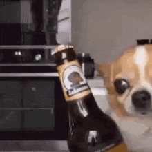 1765474511315.gif