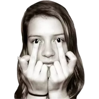 1766019404727.webp