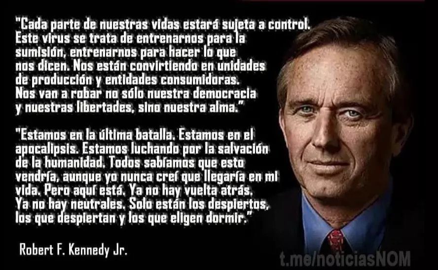 1766225986127.webp