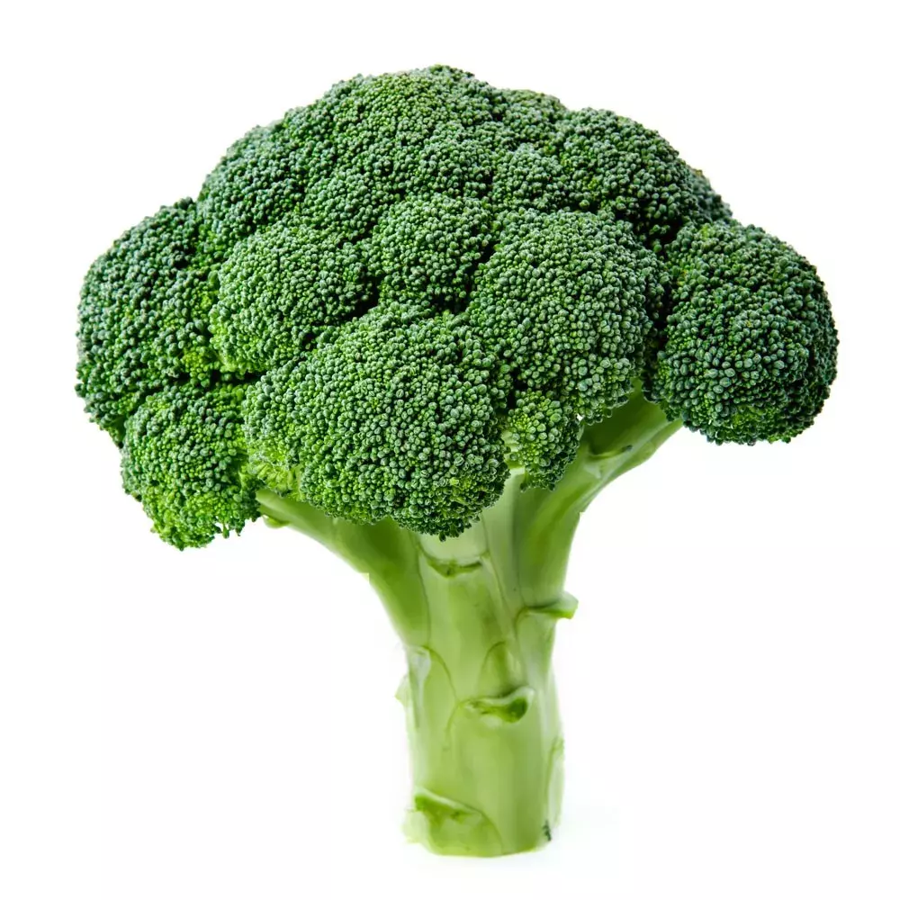 1766560436162.webp