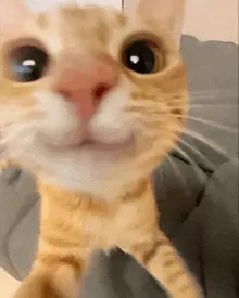 1767486821148.webp