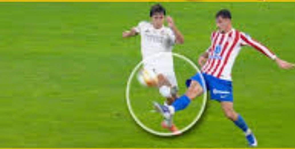 1767958399553.webp