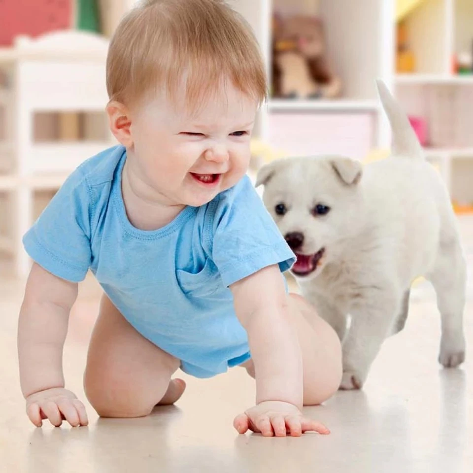 1768174447741.webp
