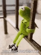1769620585103.gif