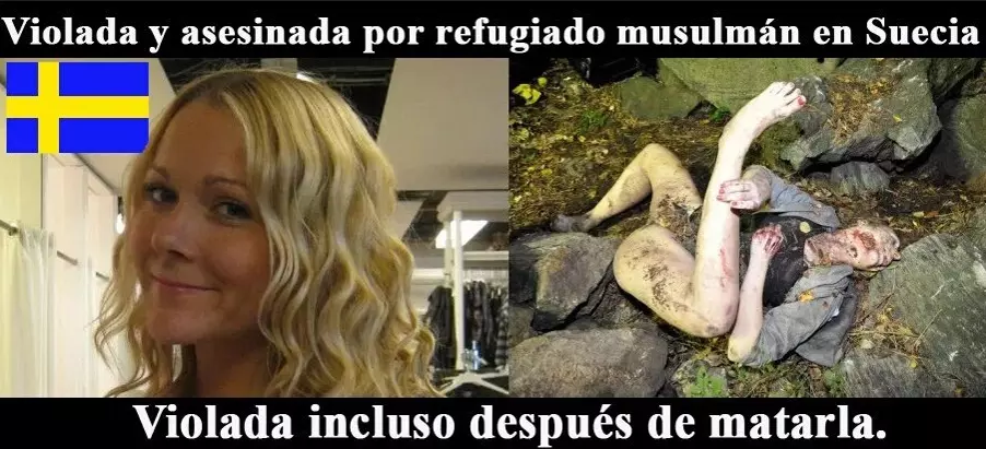1769623819233.webp