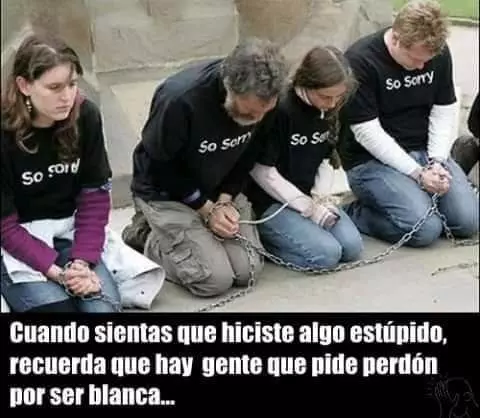 1771761589355.webp