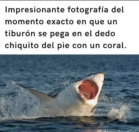 1774849035488.webp