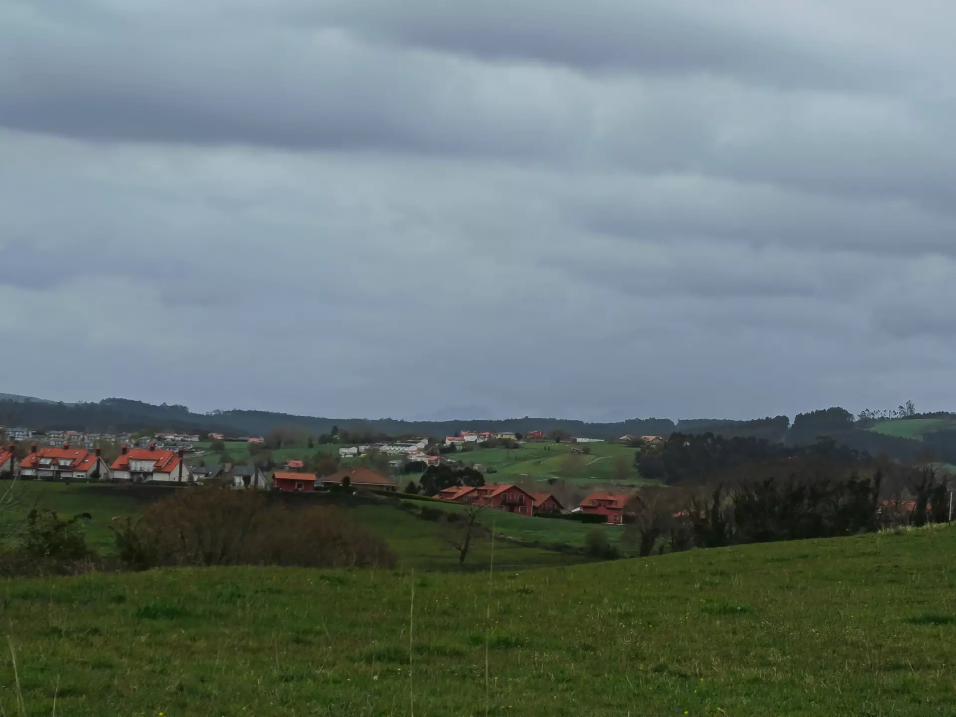 1775153109460.webp