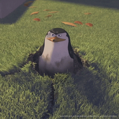 1775684289271.gif
