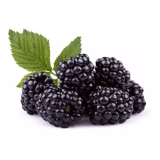 1777635751196.webp