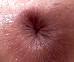 1777653850361.gif