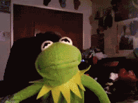 1778270083406.gif