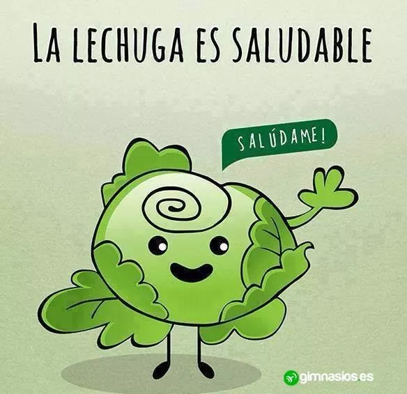 1778311578704.webp