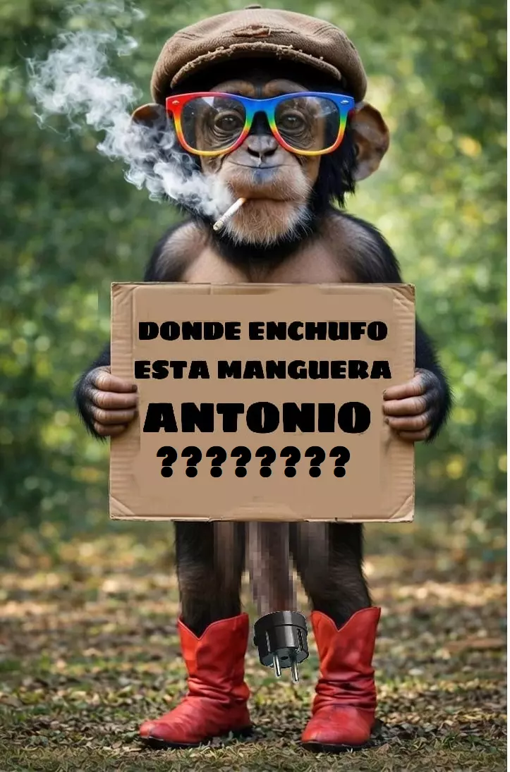 1778578417658.webp