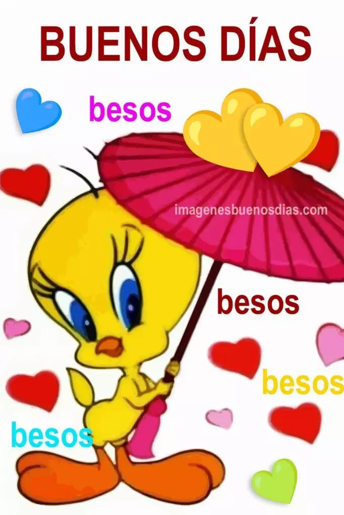 1778737904819.webp