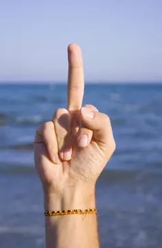 1778741946782.webp