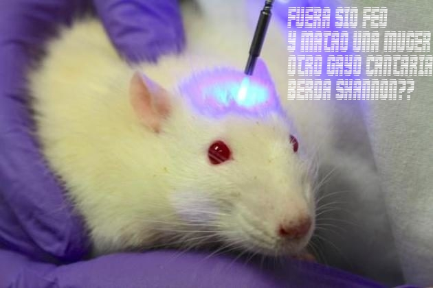 180328-optorat-630x420_20230817092053140.webp
