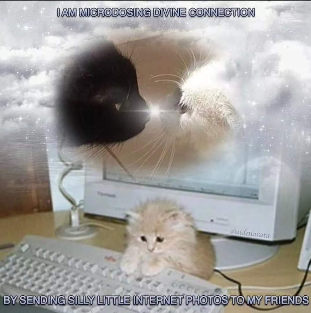 18c98eb7446f1c585c8beed135931da8.webp