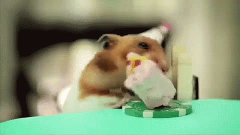 19161114b6d9e974787a2f12a1c4afe5.gif
