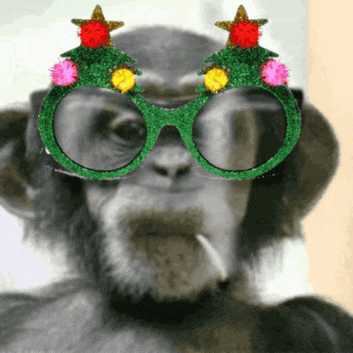 1ef874892c7e4fa1bd58894cf52d8e7d.gif