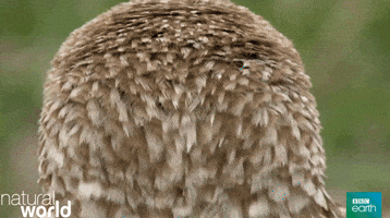 200 (3)_3.gif