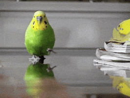 200 (3)_5.gif