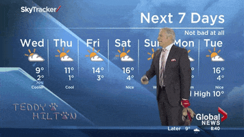 200 (367).gif