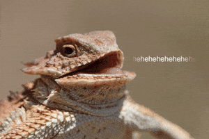 200-4.gif
