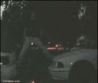200w.gif