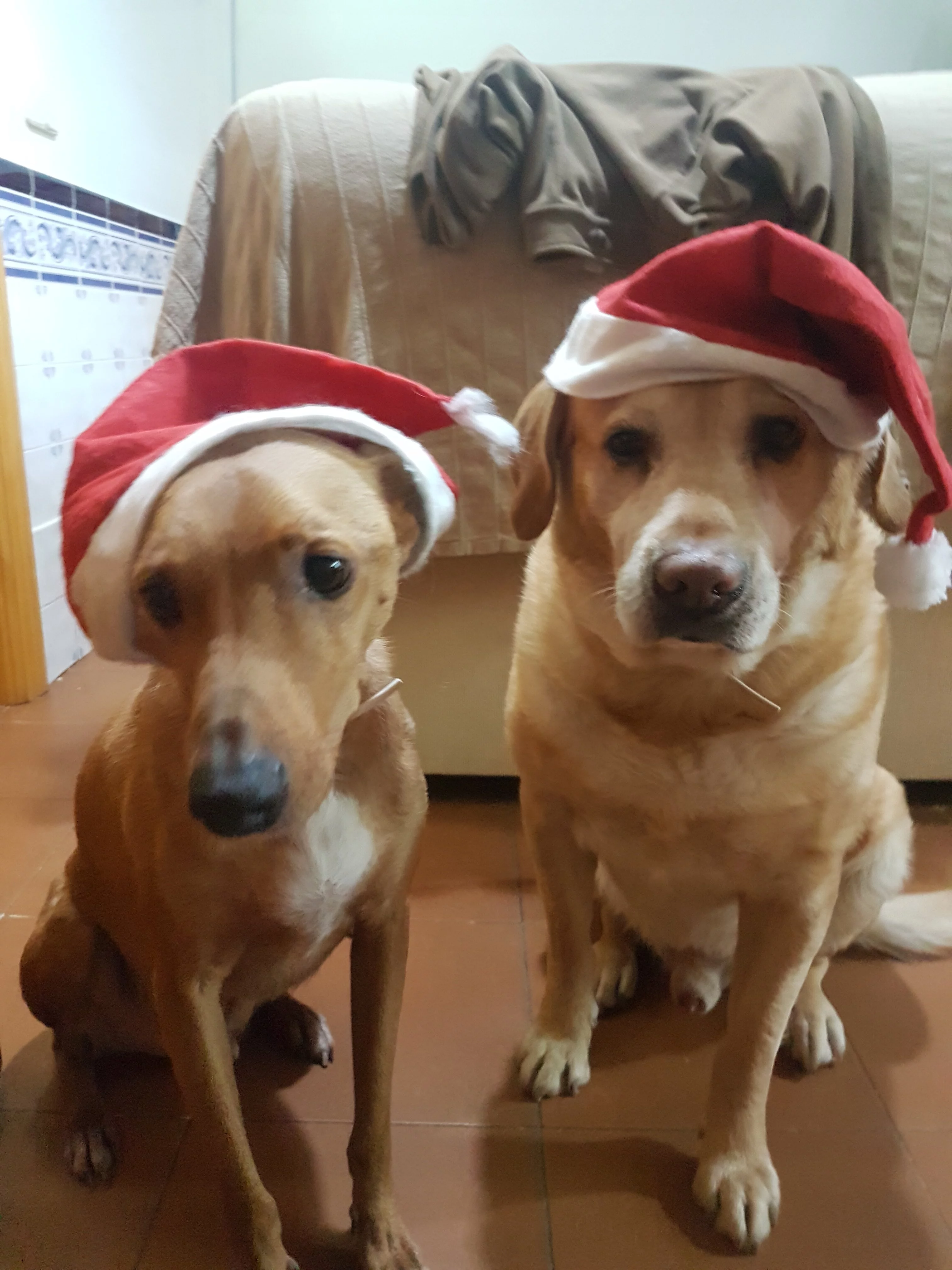 20181223_135226.jpg