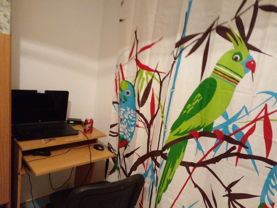 20220728-222632.webp