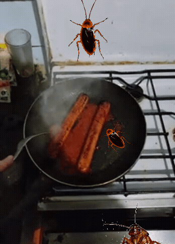 20221103_225934.gif